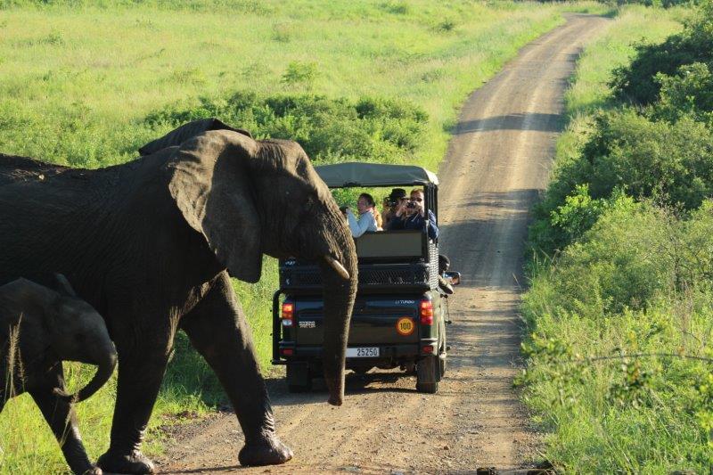 Umhluhluwe Safaris